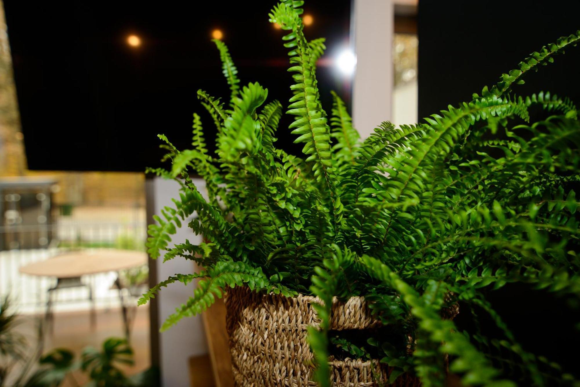 Forest Boutique Piteşti Extérieur photo